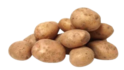 Papas canarias sobre fondo blanco