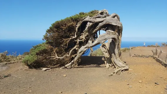 El Sabinar, El Hierro