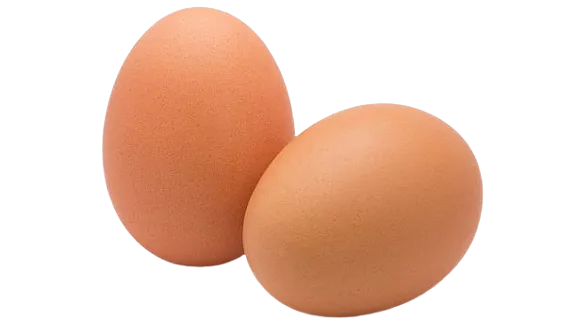 Dos huevos sobre fondo blanco