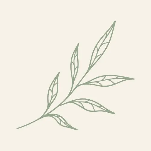 Otra rama decorativa para fondo claro