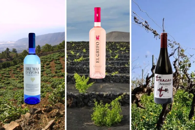 Tres botellas de vino canario sobre su paisaje de origen. Tancao tinto de Acentejo, El Grifo rosado de Lanzarote y Brumas de Ayosa blanco del Valle de Güimar